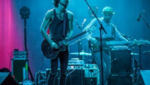 Image of Delicate Steve / Yellow Ostrich